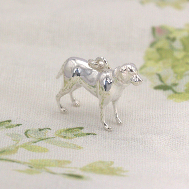 Labrador - MYLEE London