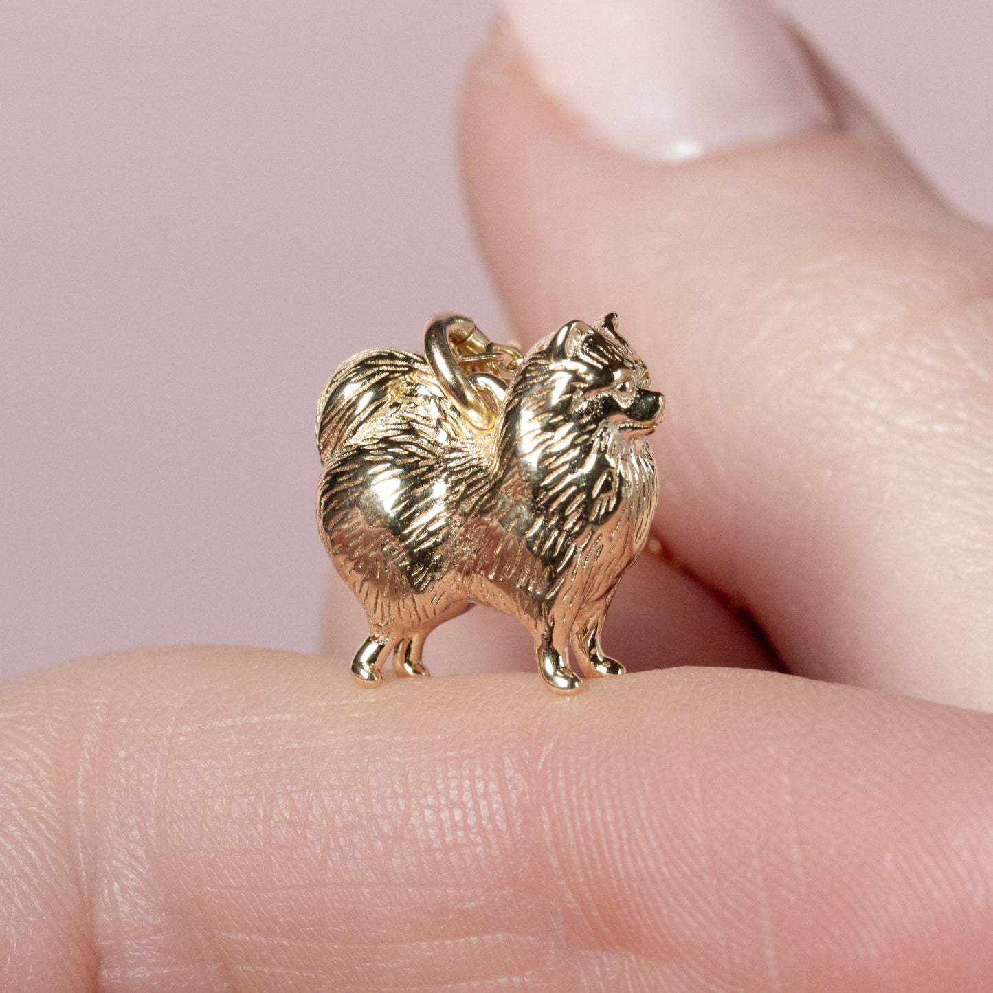 Pomeranian Gold Necklace - Personalised