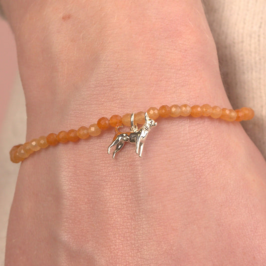 Chihuahua Crystal Bracelet - Personalised - MYLEE London