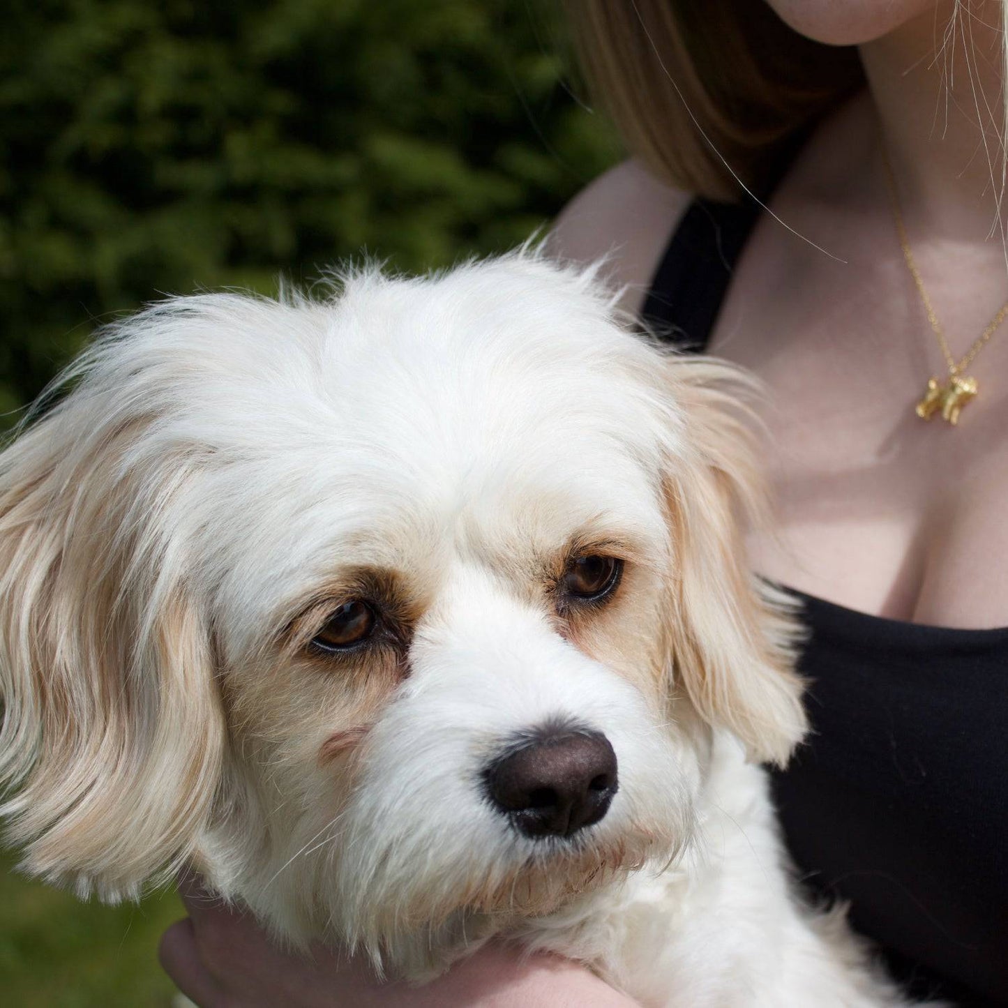 Cockapoo Gold Necklace - Personalised - MYLEE London