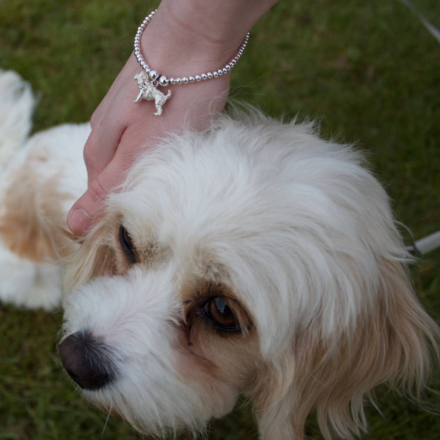 Cockapoo Silver Charm - MYLEE London