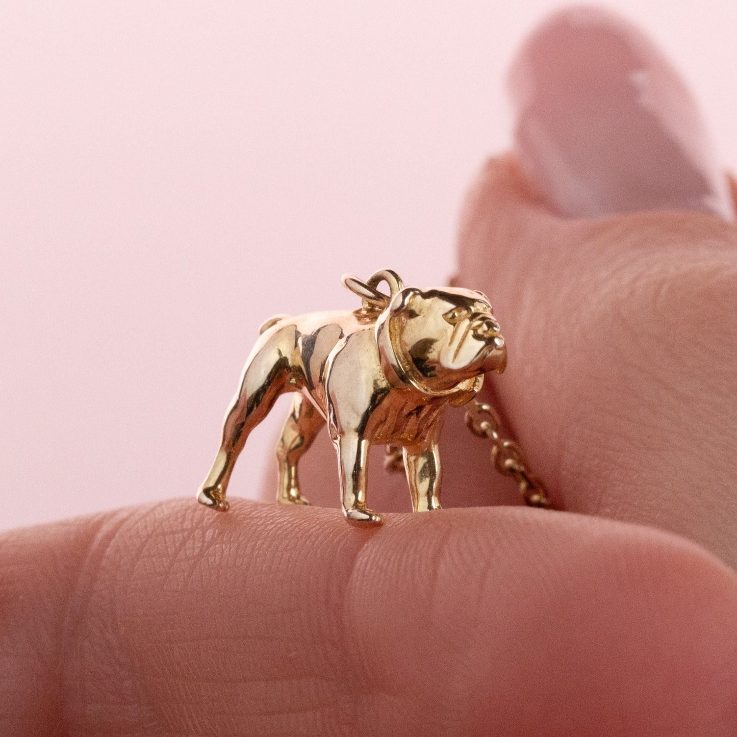 English Bulldog Gold Necklace - Personalised - MYLEE London