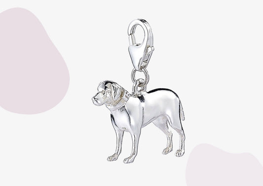 Labrador Silver Charm - MYLEE London