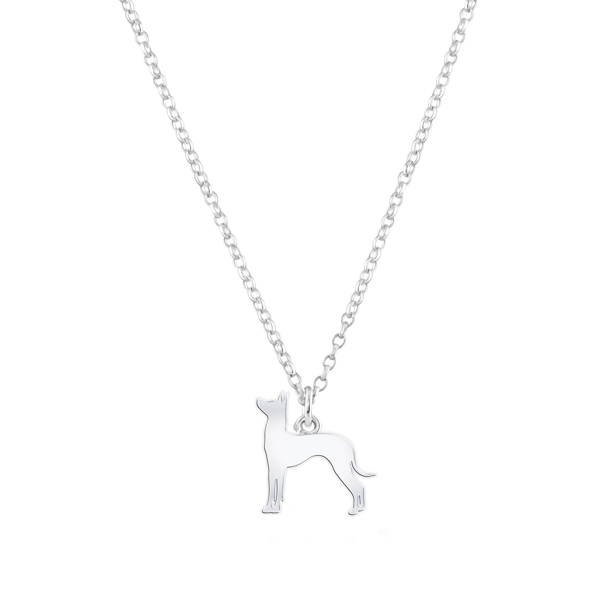 Mexican Hairless Dog Silhouette Silver Necklace - Personalised - MYLEE London